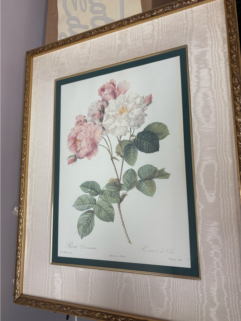 The Bombay Company Botanical Rose Print in Pink and White - Classic Framed Art